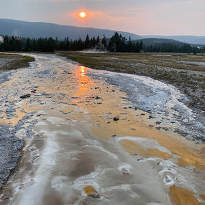 Meet your Posher, Desiree